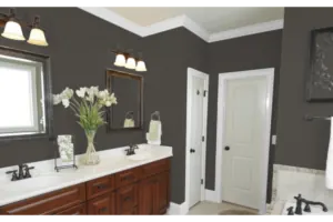 A bathroom visualised with Urbane Bronze SW 7048 walls
